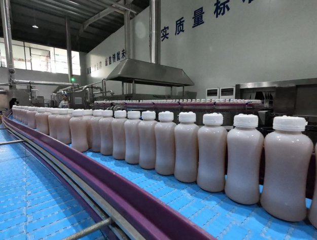 欽州紅茶菌飲品生產(chǎn)車間
